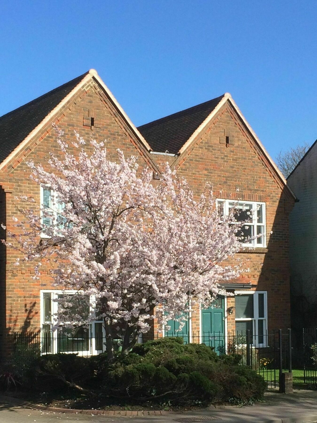 3 Summertown Court Oxford Ngoại thất bức ảnh